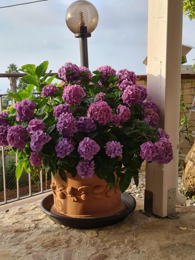B&B La Casa Di Martina Zambrone Pokoj fotografie