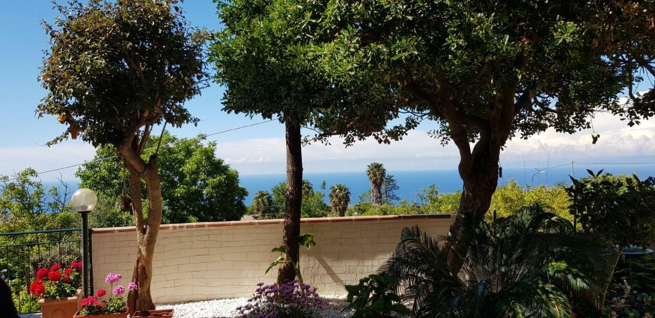 B&B La Casa Di Martina Zambrone Exteriér fotografie